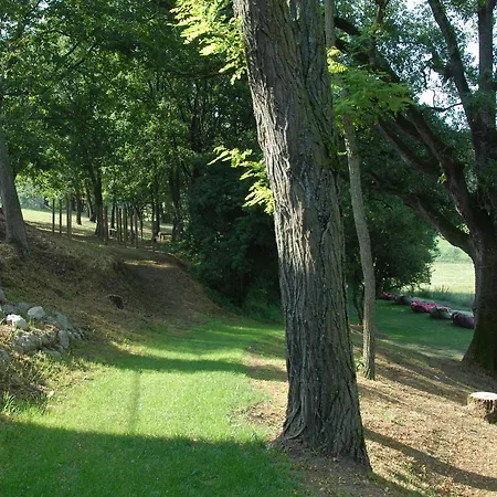 호텔 Ecolodge Du Bien Etre En Luberon 포르칼퀴에르